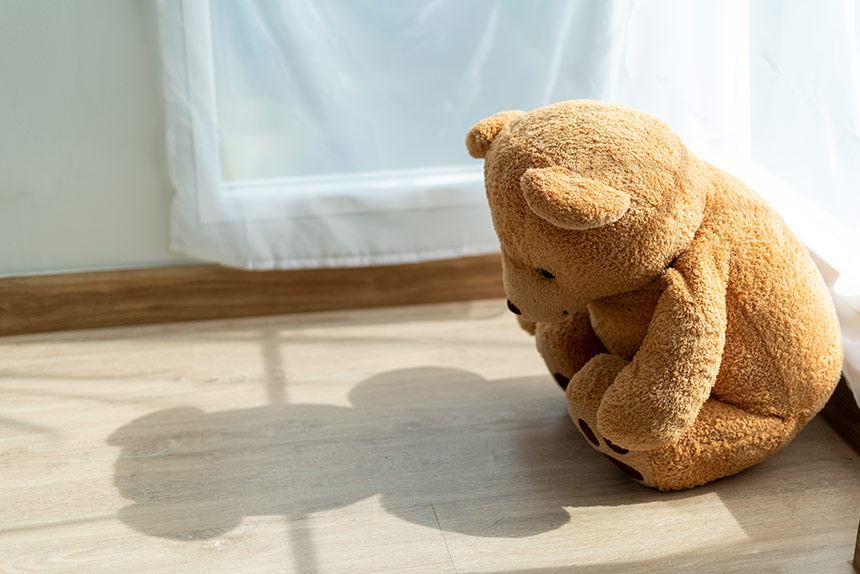 Teddy bear sitting in sunny window